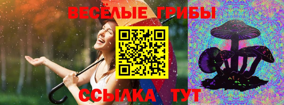 Удомля  Галлюциногенные грибы GOLDEN TEACHER  Вход с VPN 