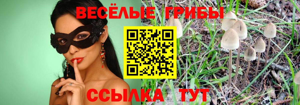 Псилоцибиновые грибы мухоморы Удомля