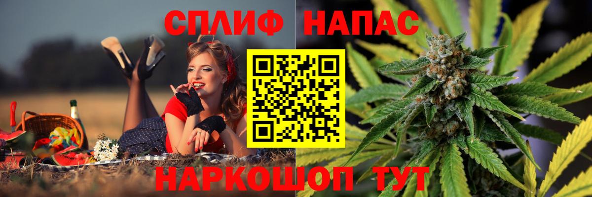 Бошки Шишки планчик Удомля